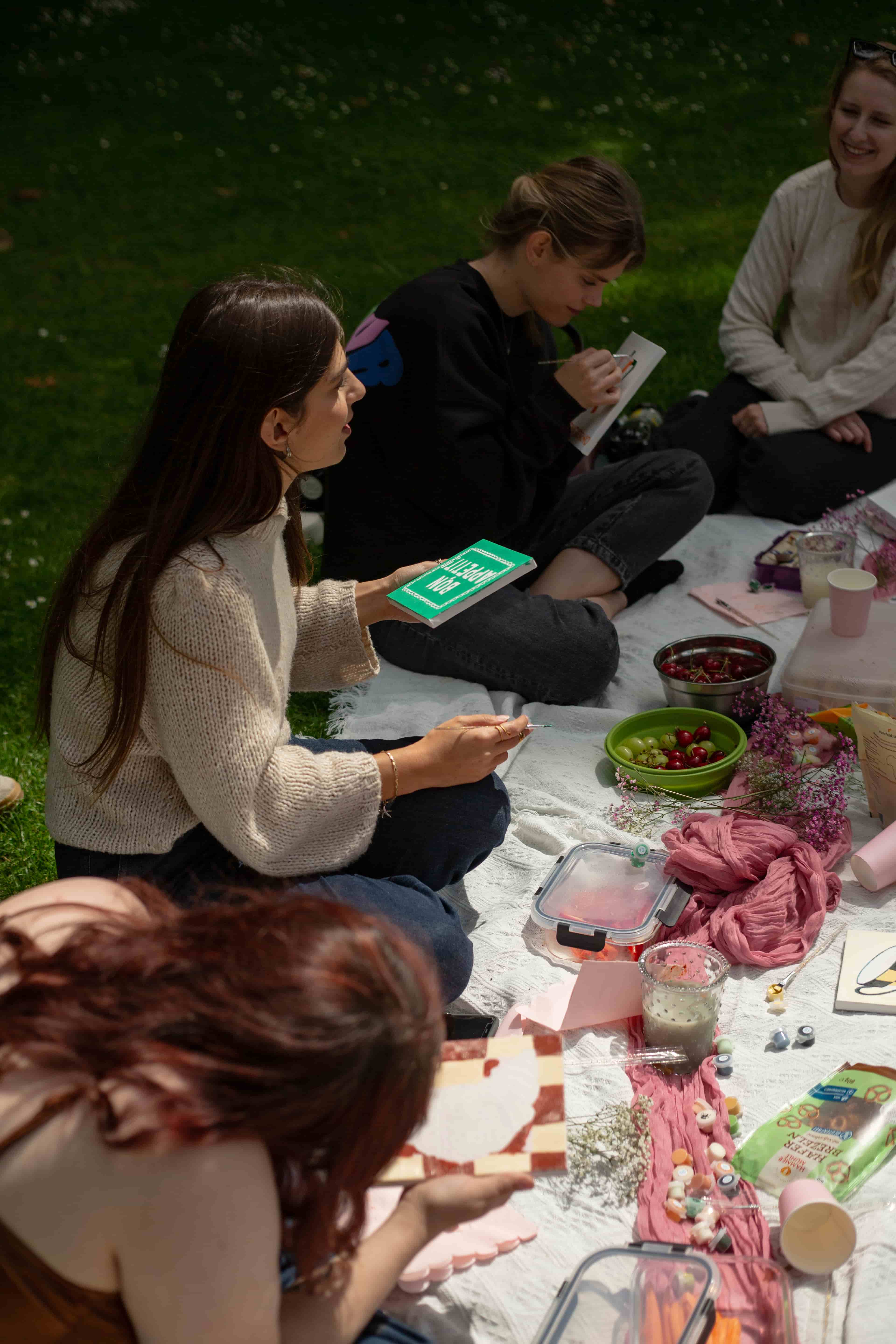 Gespräch zwischen Gästen beim Picknick